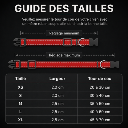 Collier réfléchissant réglable pour chien